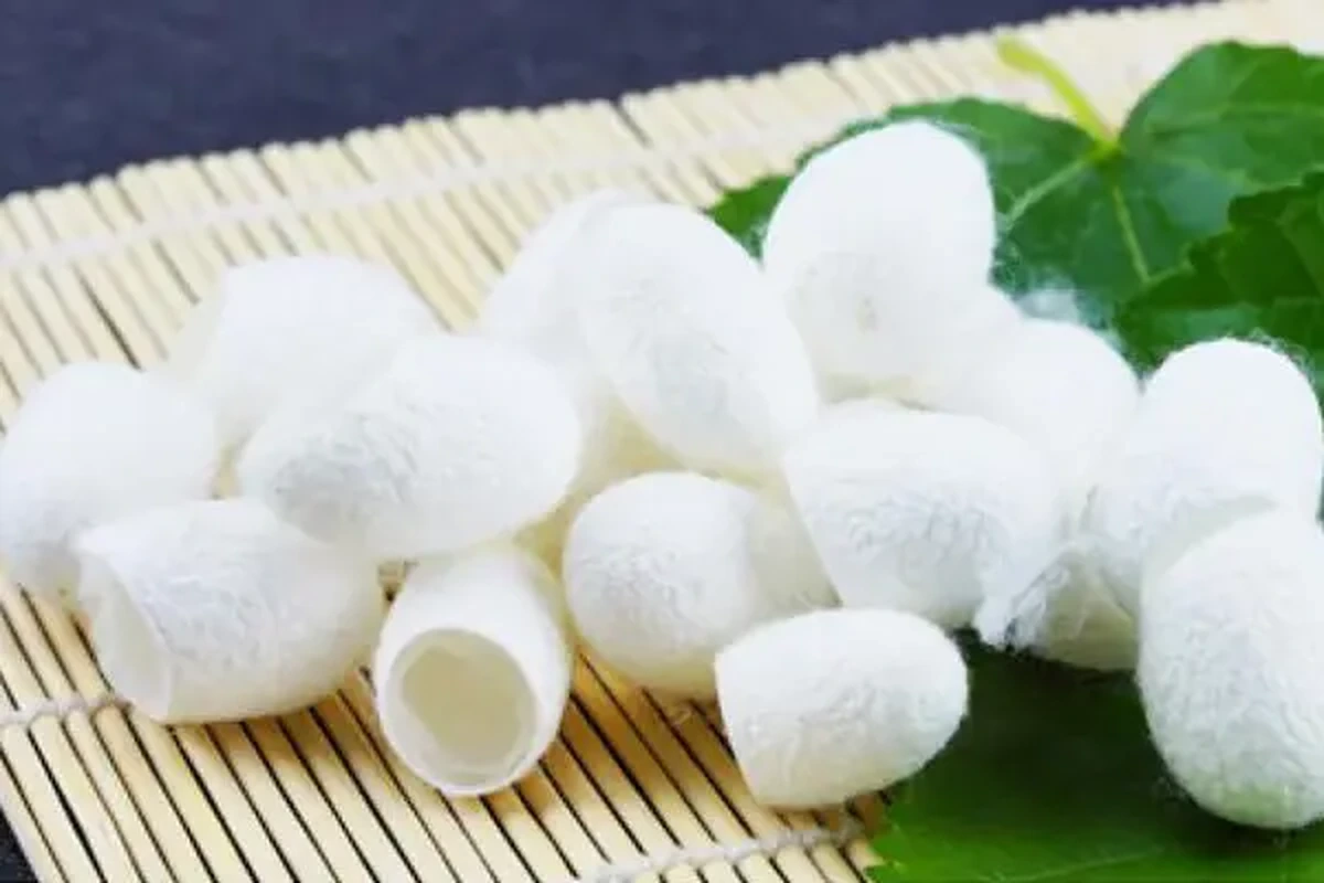 White silkworm cocoons on a bamboo mat beside green leaves